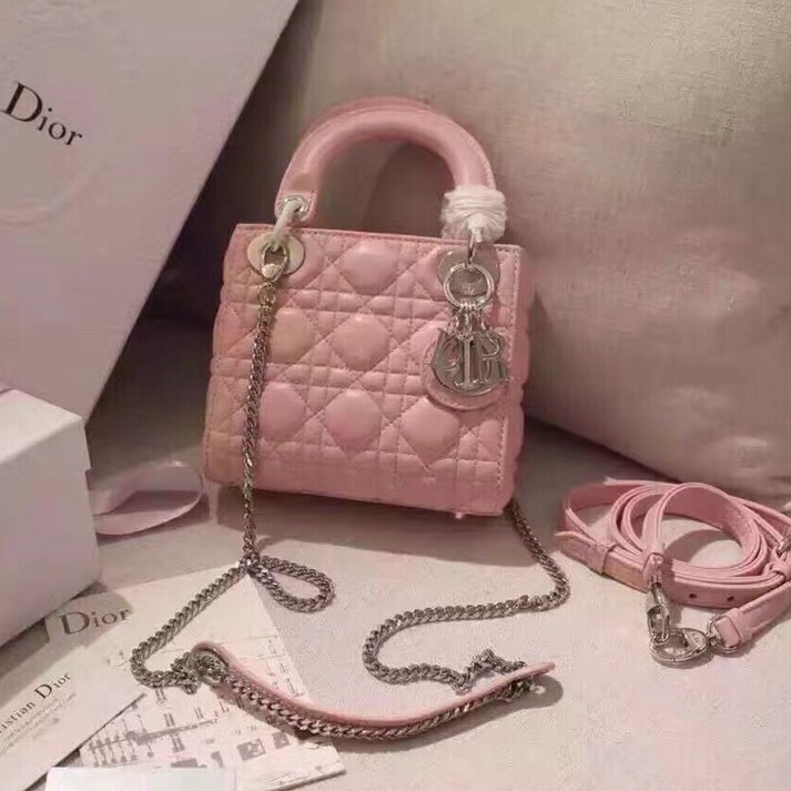 디올 레이디백 미니 은장