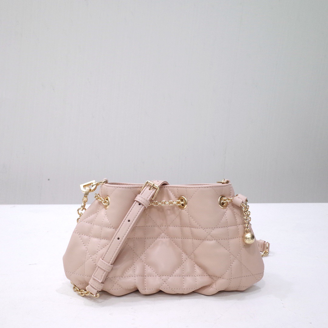 디올 DIOR AMMI 스몰 백
