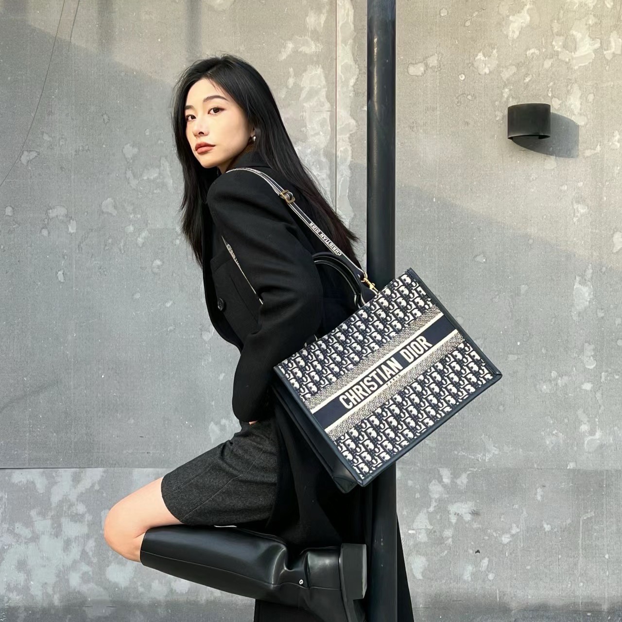 디올 Book Tote 미디엄 백
