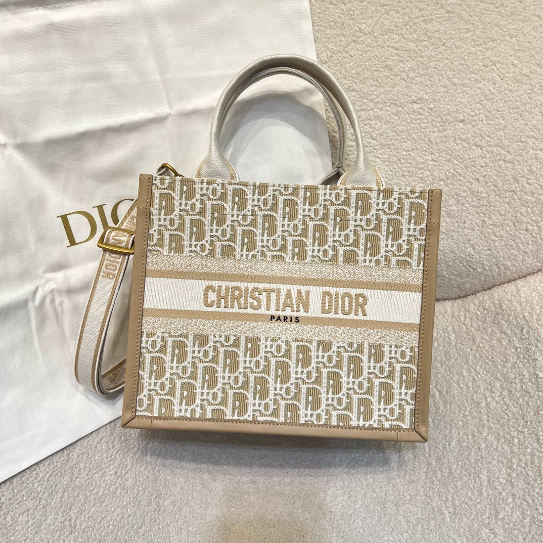 디올 Book Tote 스몰 백