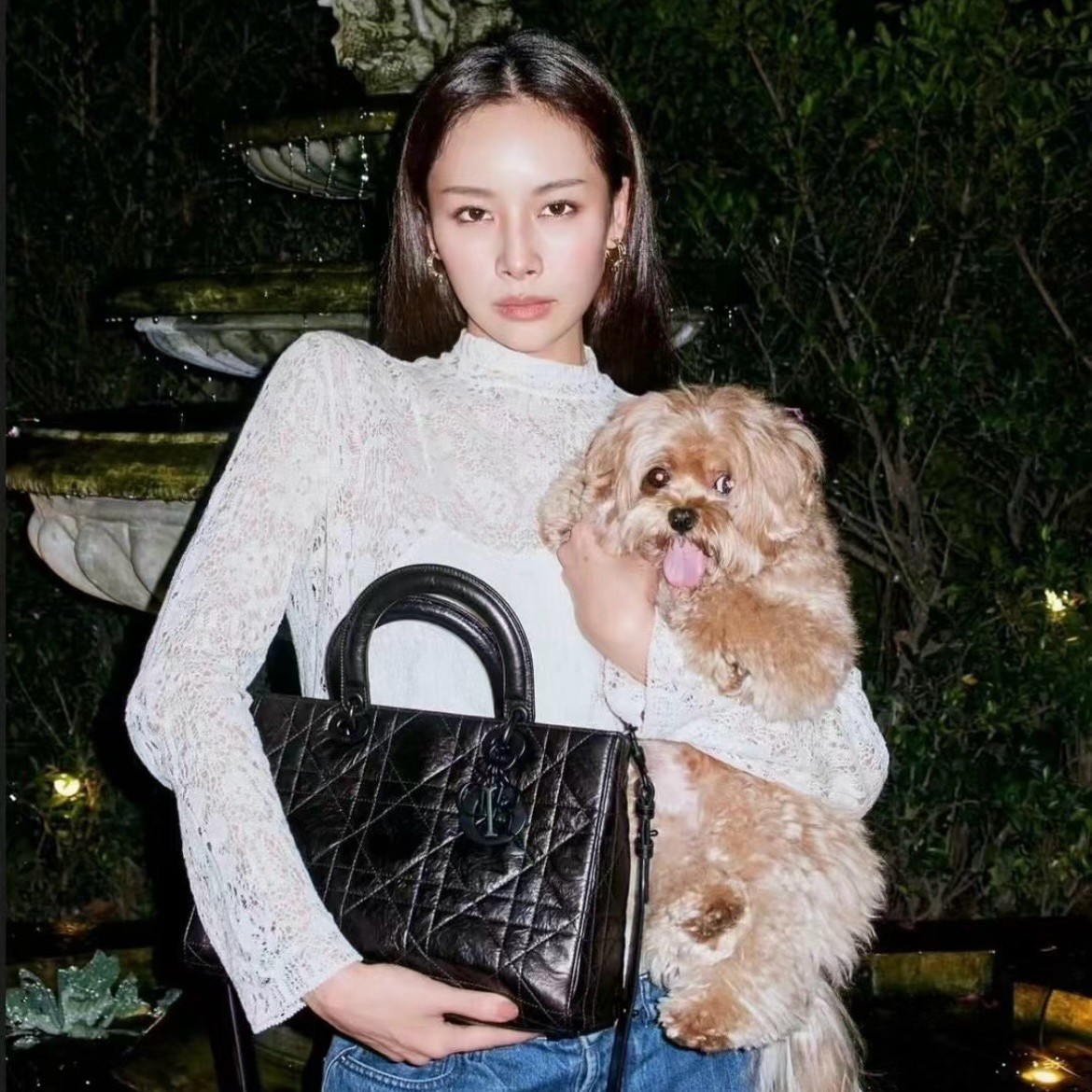 디올 lady d - sire 라지