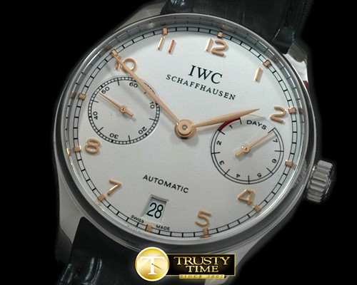IWC Portugese 5007 SS/LE -IWC0254