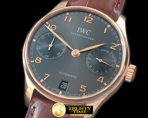 IWC Portugese 5007 RG/LE Grey A52010 -IWC0289C